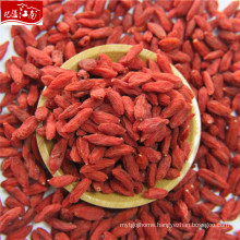 New harvest Factory supply wholesale chinese ningxia lycium